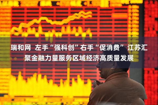 瑞和网  左手“强科创”右手“促消费” 江苏汇聚金融力量服务区域经济高质量发展