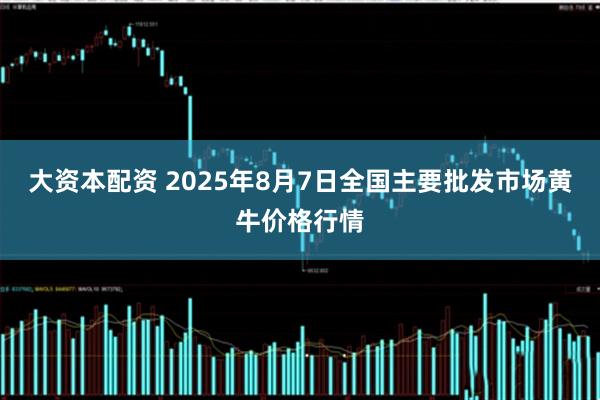 大资本配资 2025年8月7日全国主要批发市场黄牛价格行情